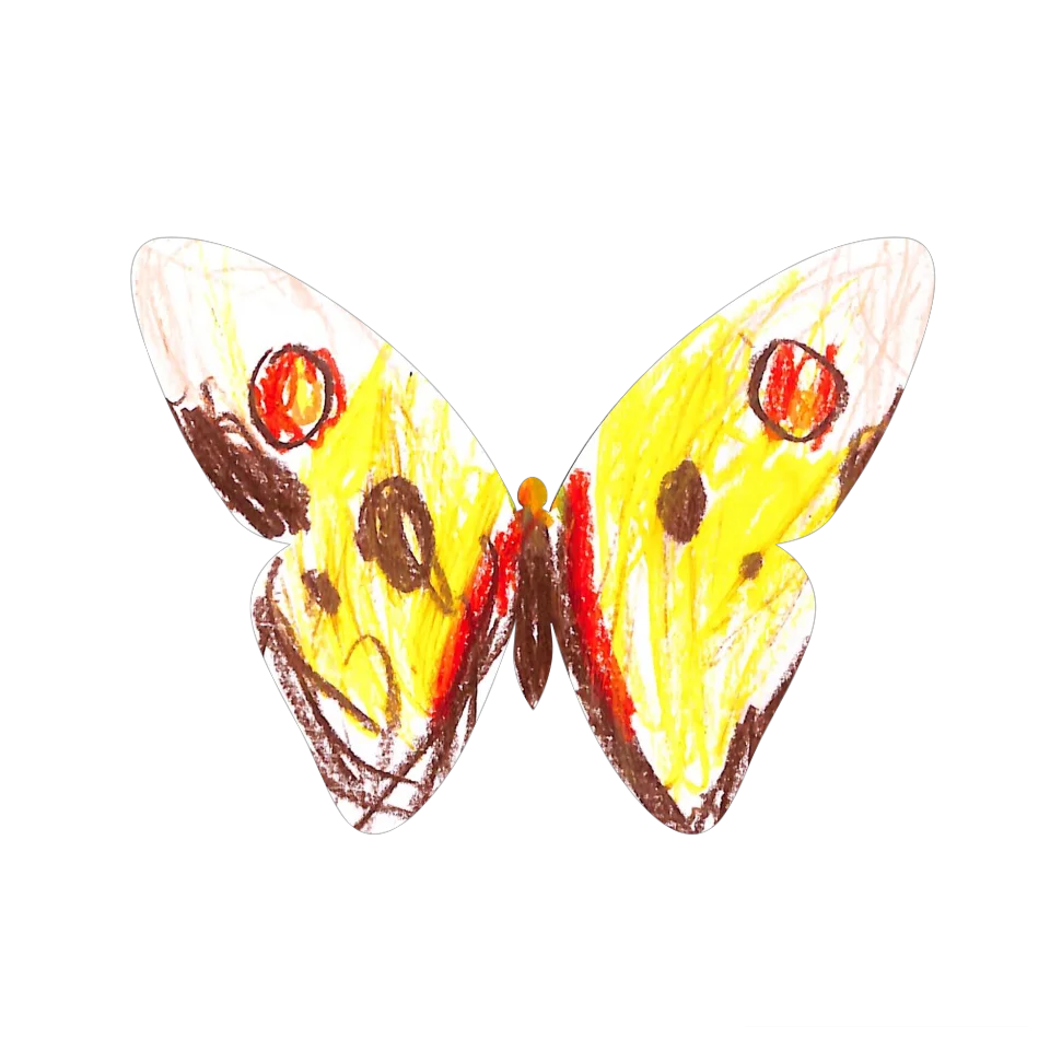 Original Butterfly Image