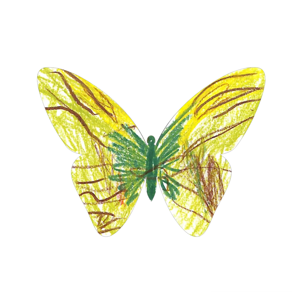 Original Butterfly Image