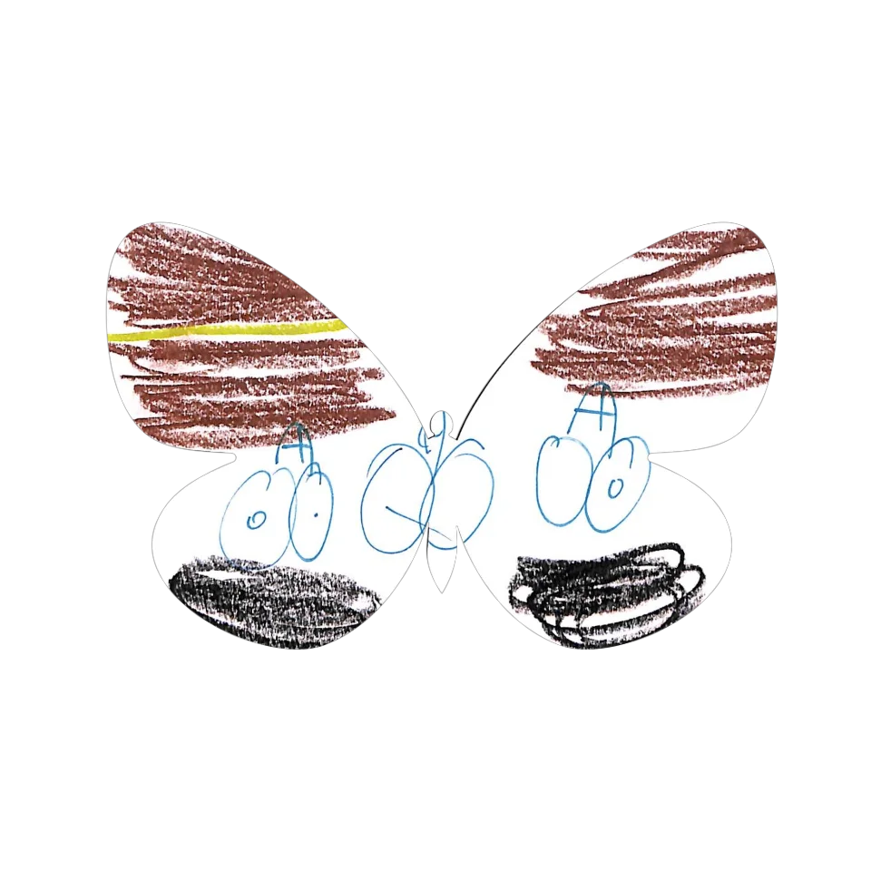 Original Butterfly Image