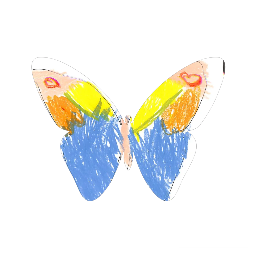 Original Butterfly Image