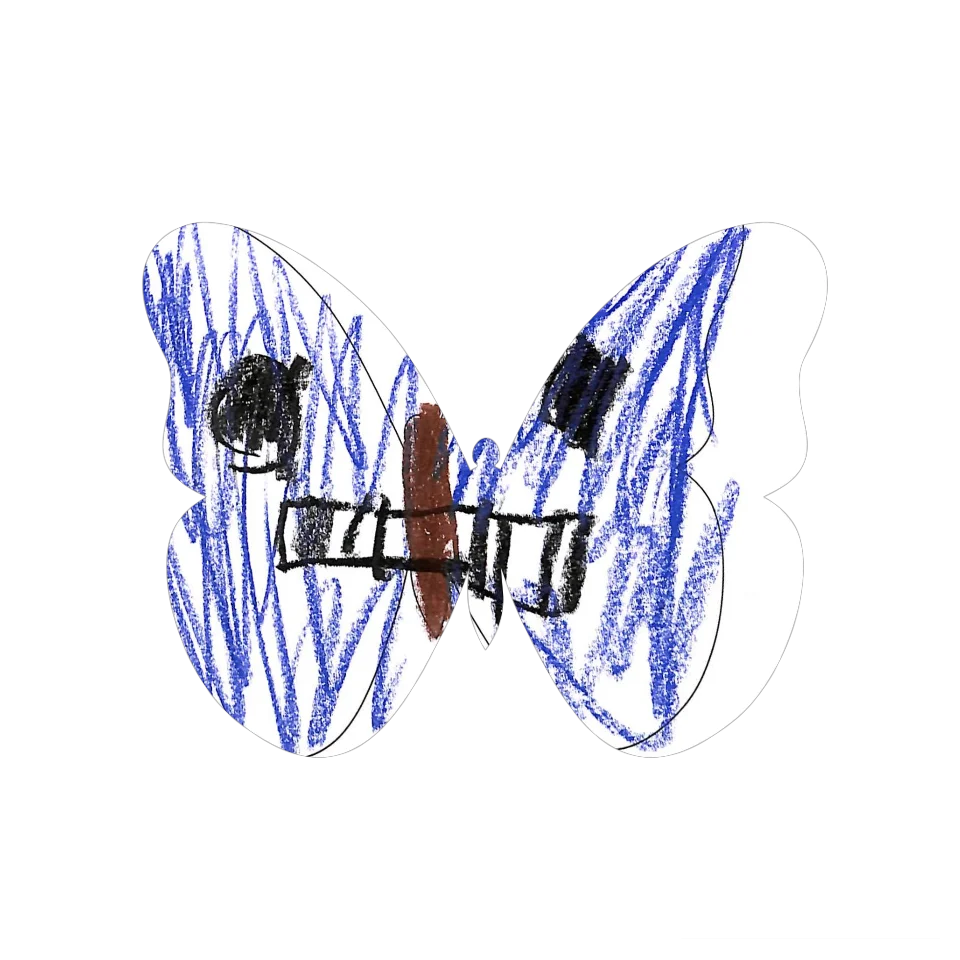 Original Butterfly Image
