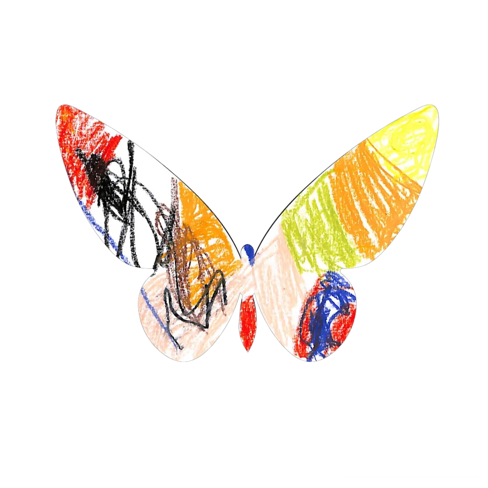 Original Butterfly Image