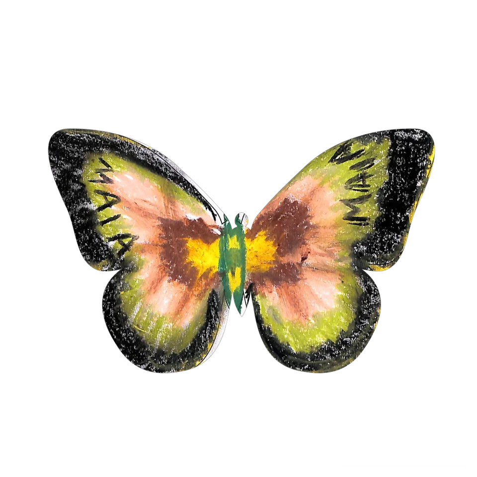 Original Butterfly Image