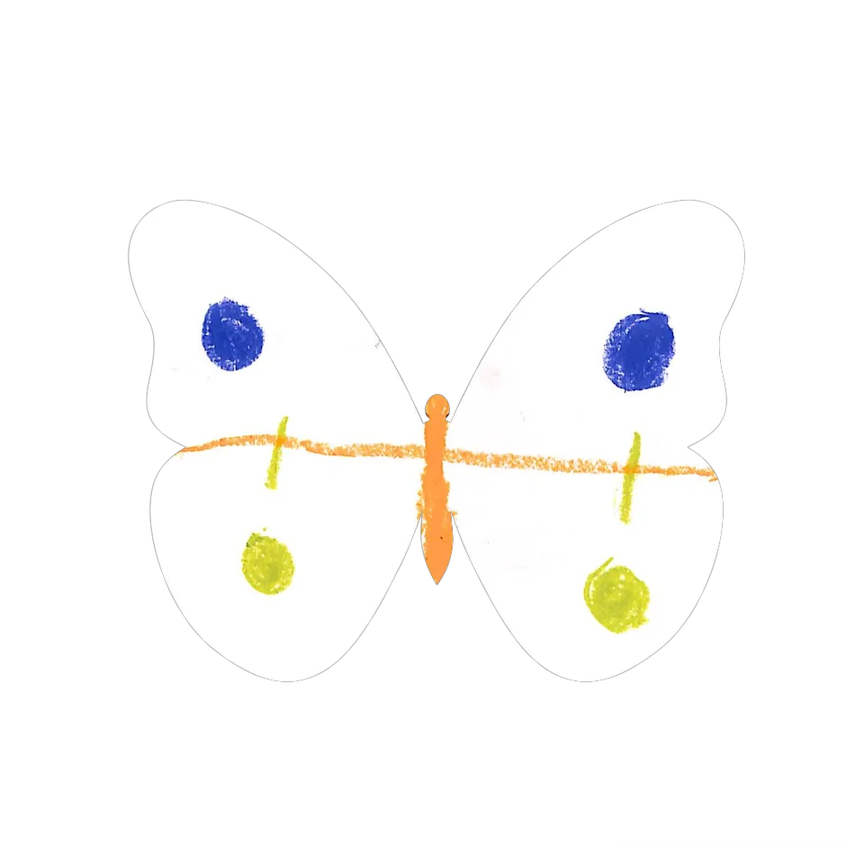 Original Butterfly Image