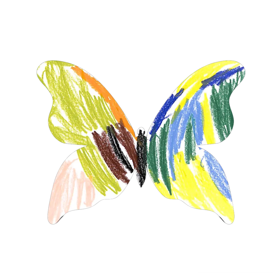 Original Butterfly Image