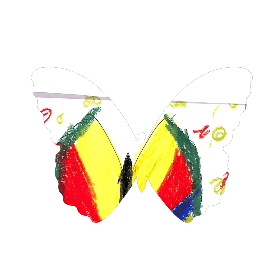 Original Butterfly Image
