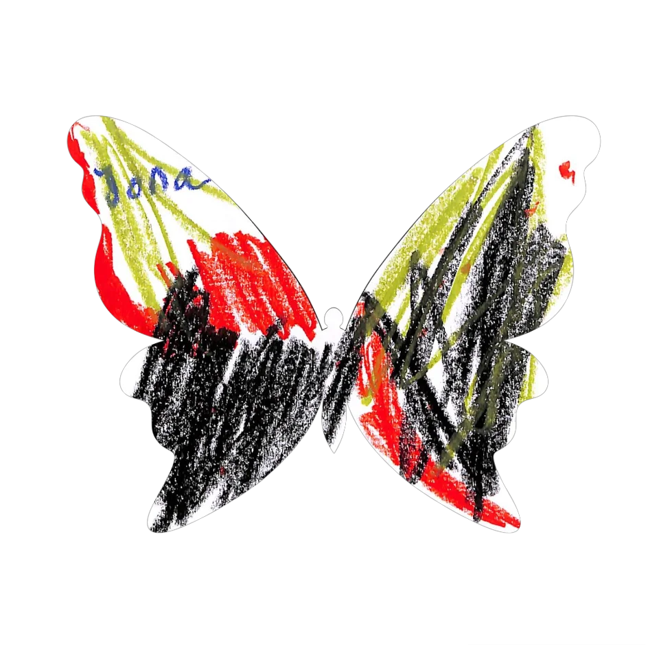 Original Butterfly Image