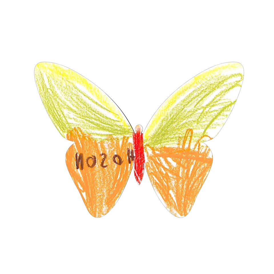 Original Butterfly Image