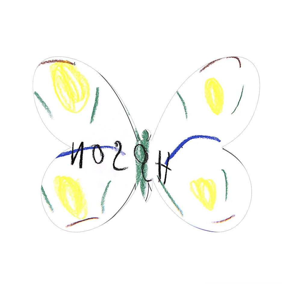 Original Butterfly Image