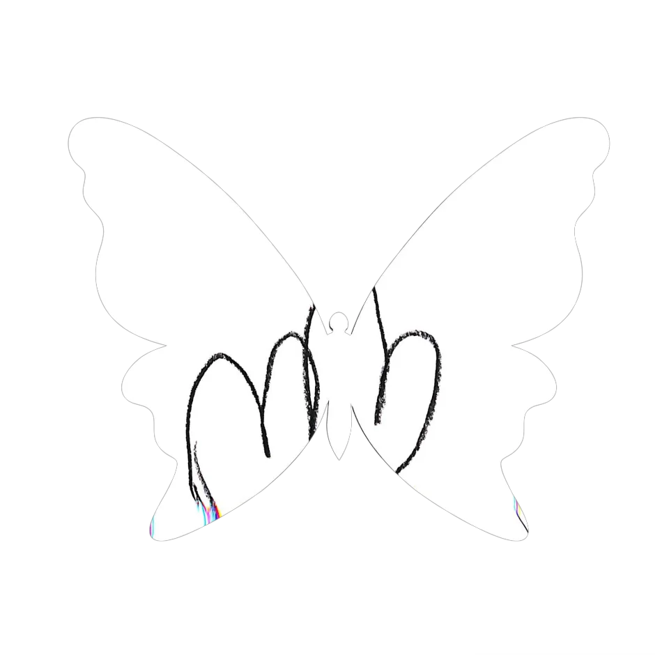 Original Butterfly Image