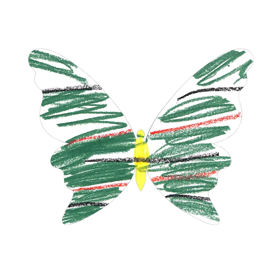 Original Butterfly Image