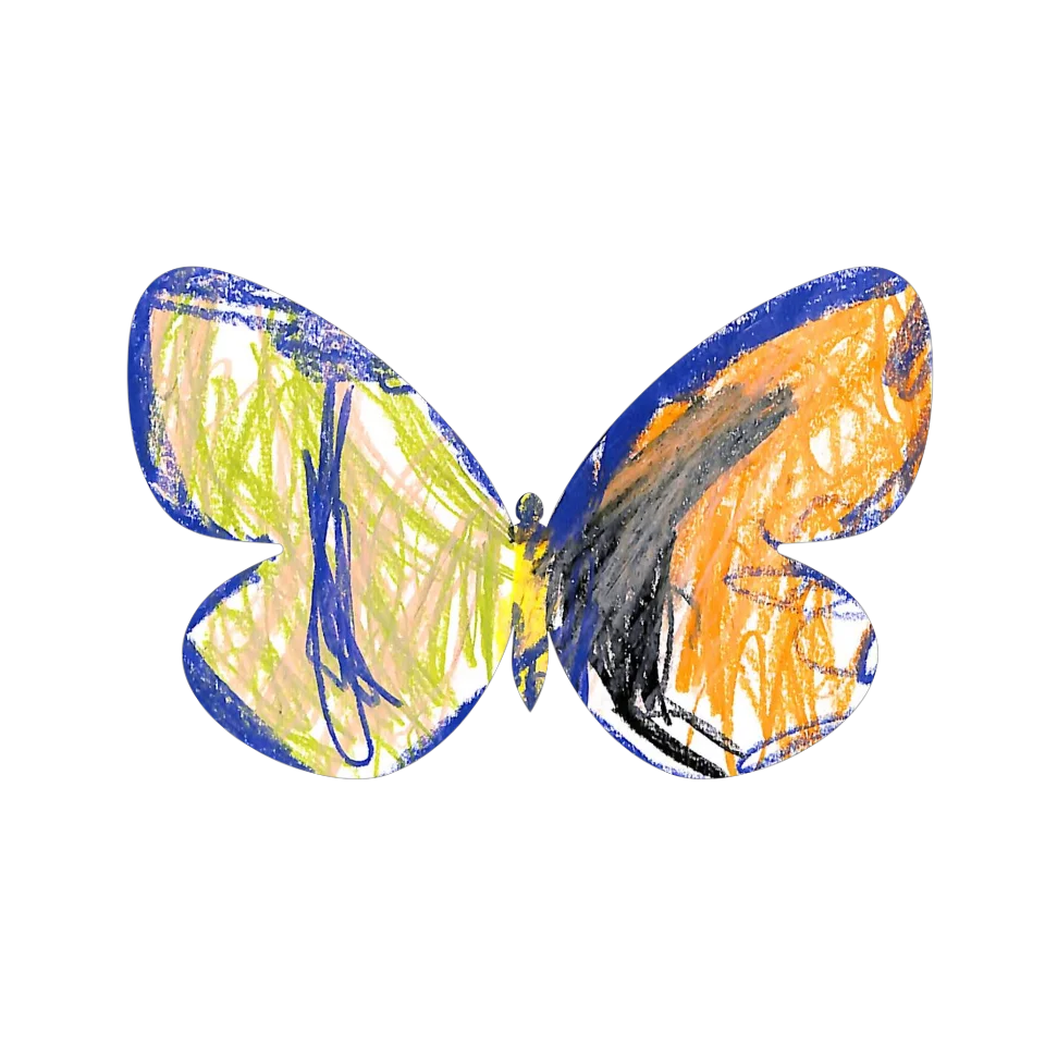 Original Butterfly Image
