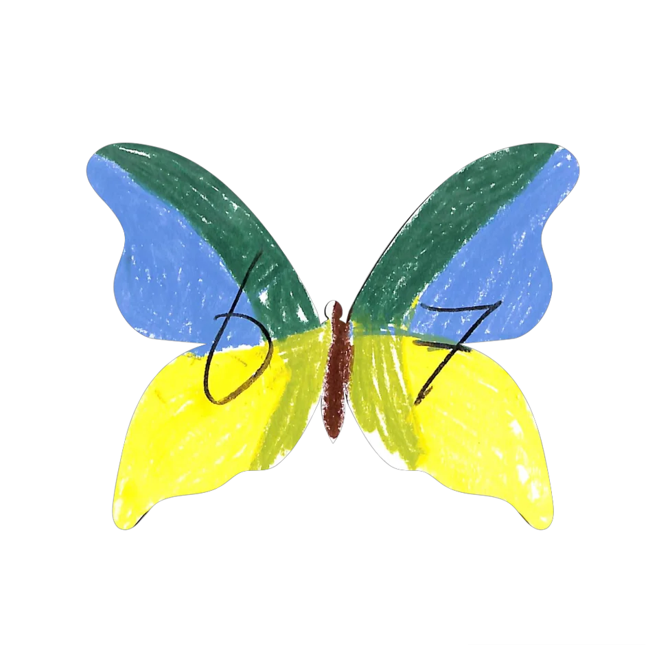 Original Butterfly Image