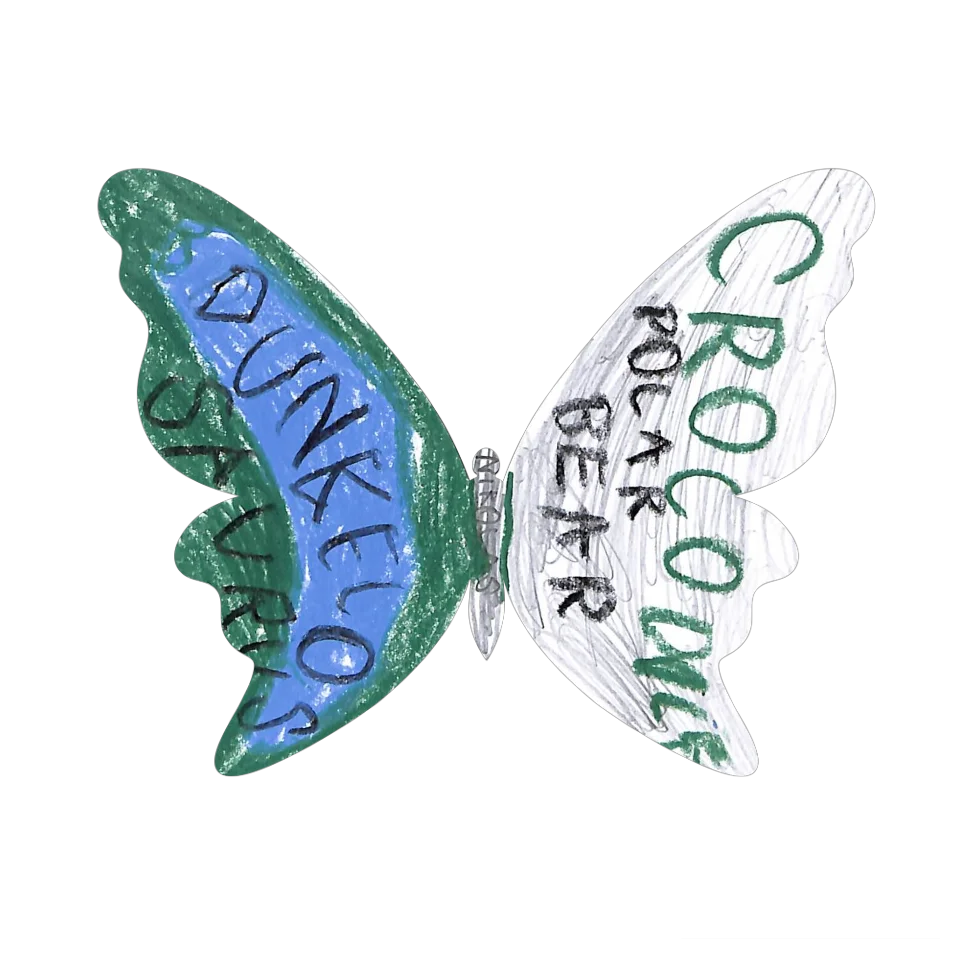 Original Butterfly Image
