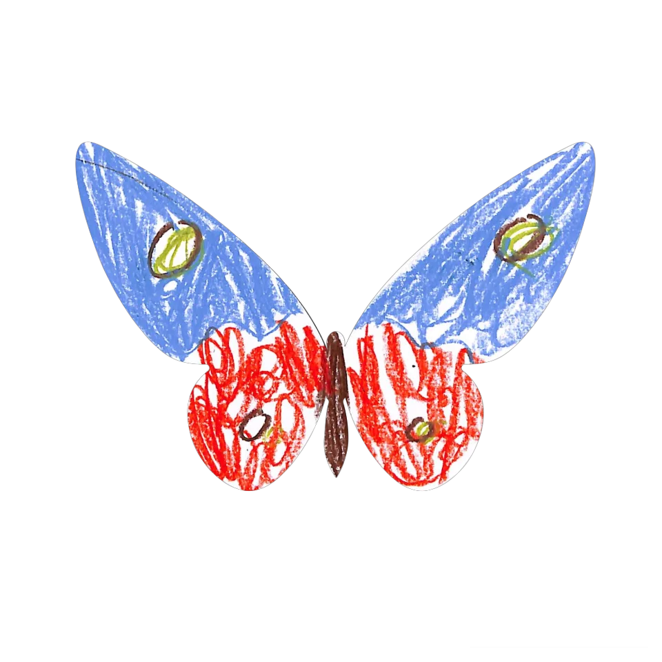 Original Butterfly Image