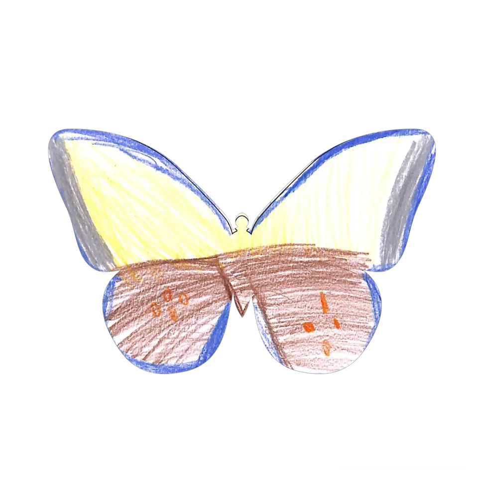 Original Butterfly Image