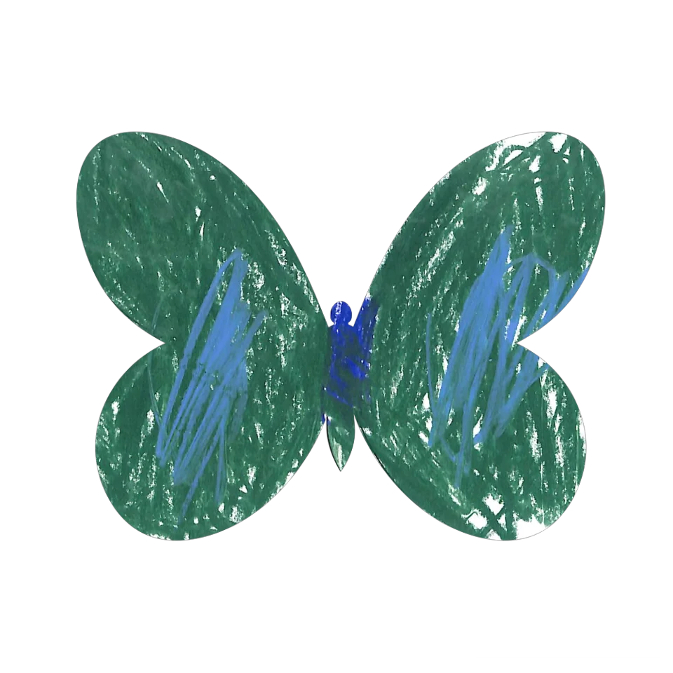 Original Butterfly Image