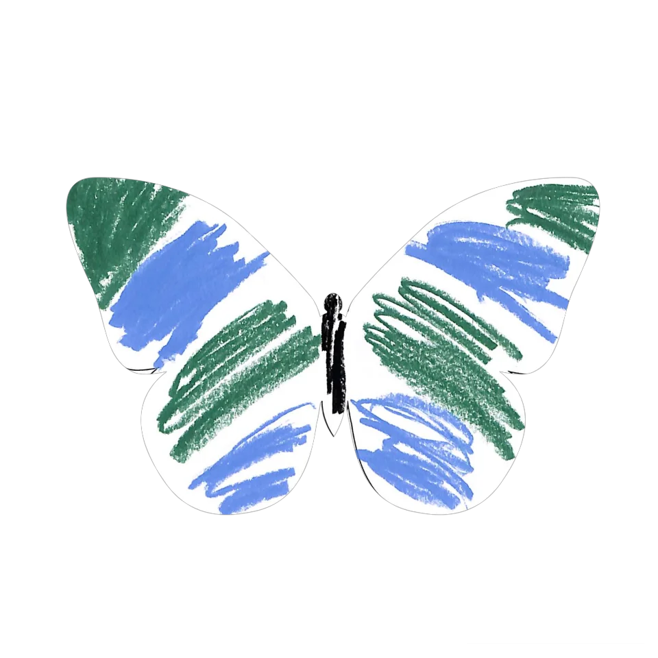 Original Butterfly Image