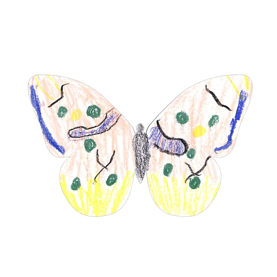 Original Butterfly Image