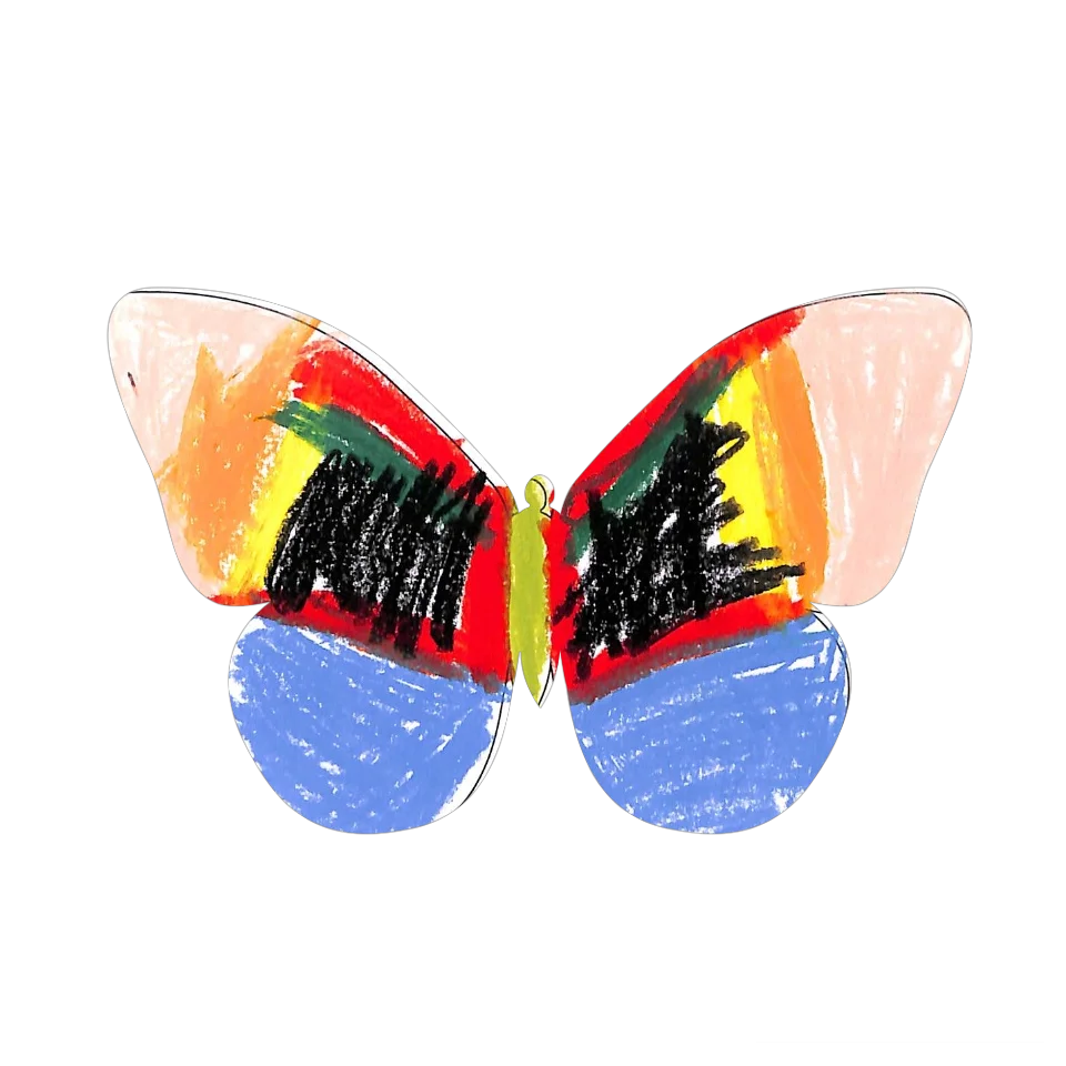 Original Butterfly Image