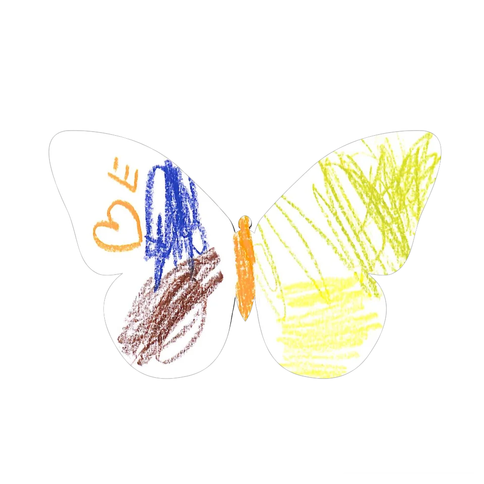 Original Butterfly Image