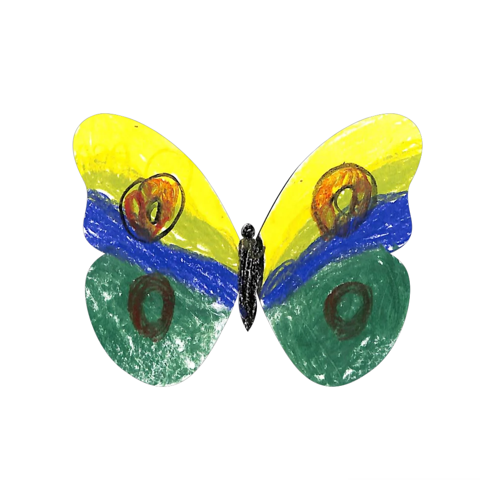 Original Butterfly Image