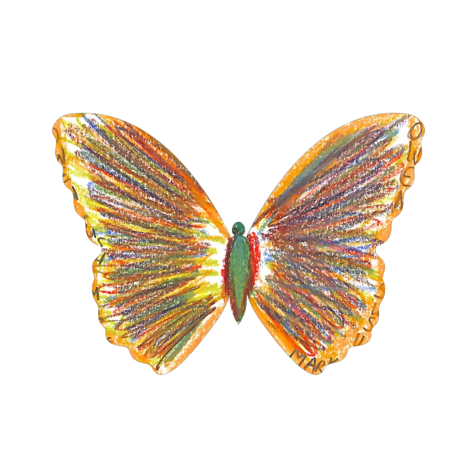 Original Butterfly Image