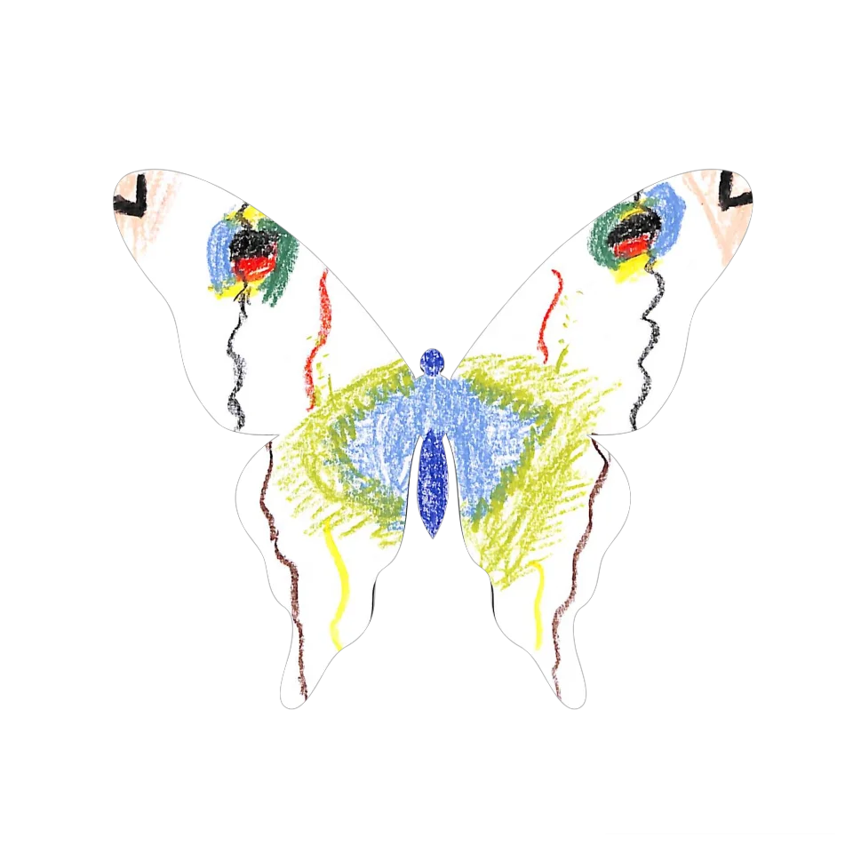 Original Butterfly Image