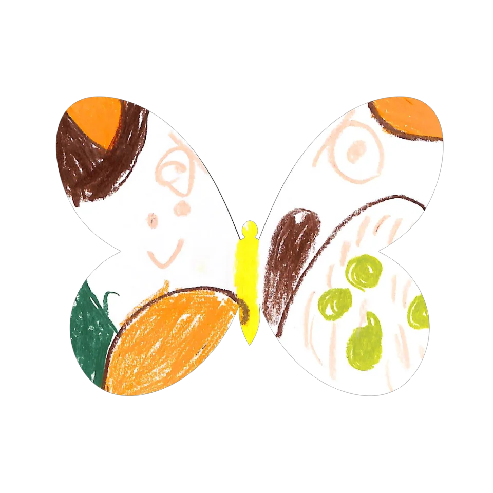 Original Butterfly Image