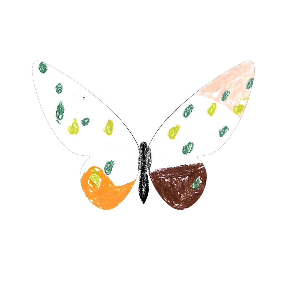 Original Butterfly Image