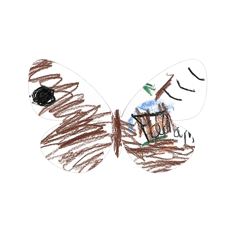 Original Butterfly Image