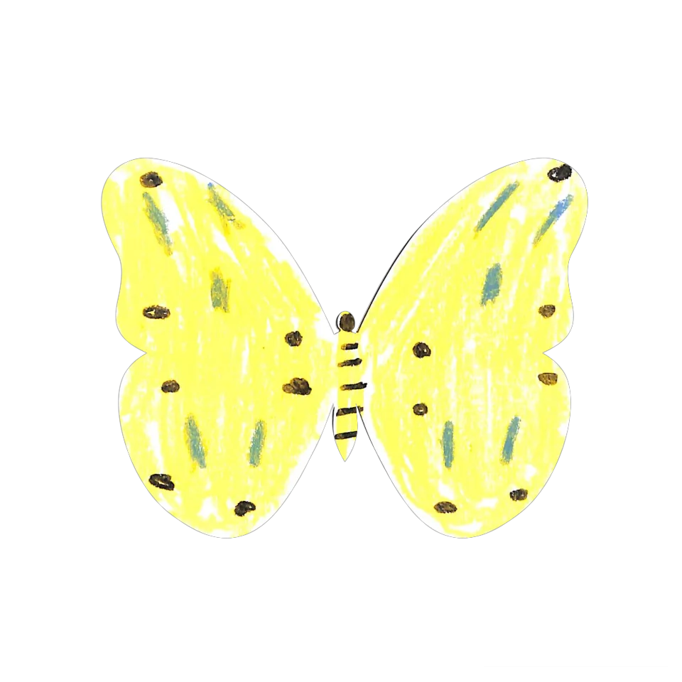 Original Butterfly Image
