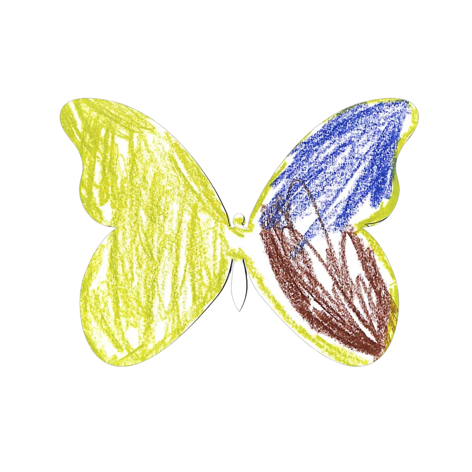 Original Butterfly Image