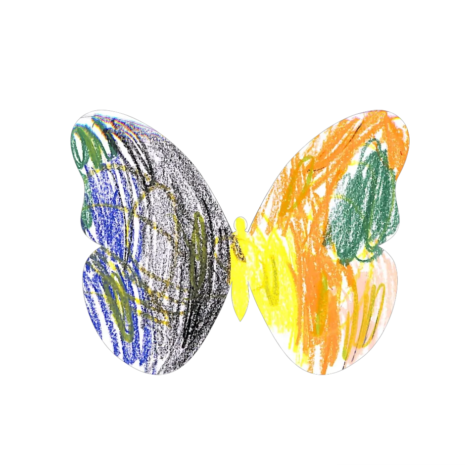 Original Butterfly Image