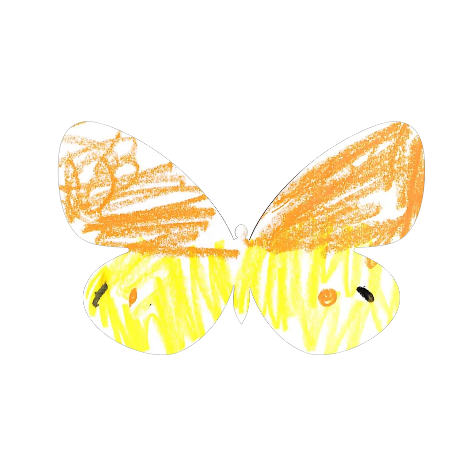 Original Butterfly Image