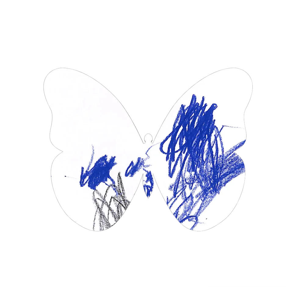 Original Butterfly Image