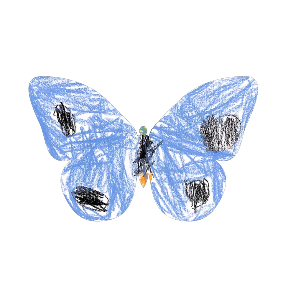 Original Butterfly Image