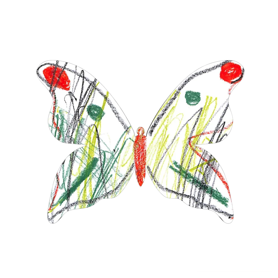 Original Butterfly Image