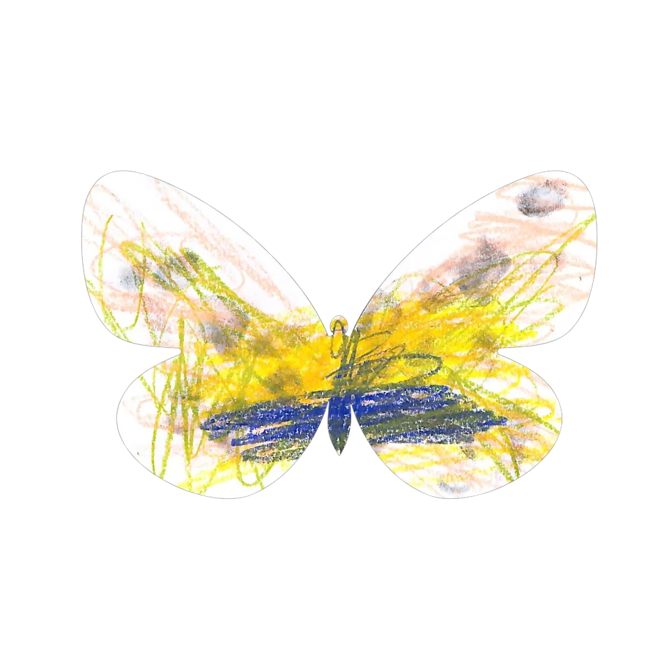 Original Butterfly Image