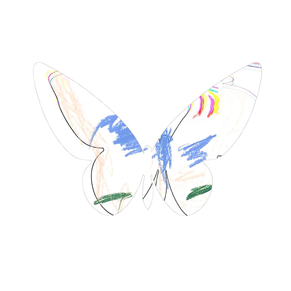 Original Butterfly Image