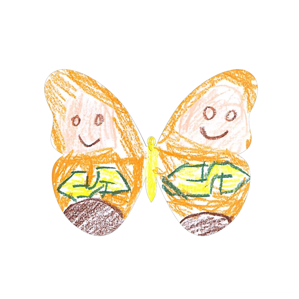 Original Butterfly Image
