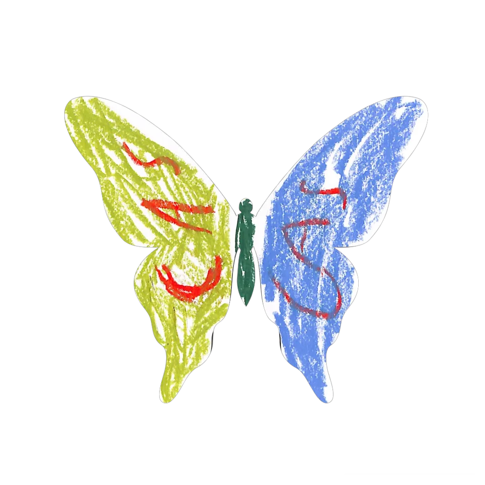 Original Butterfly Image