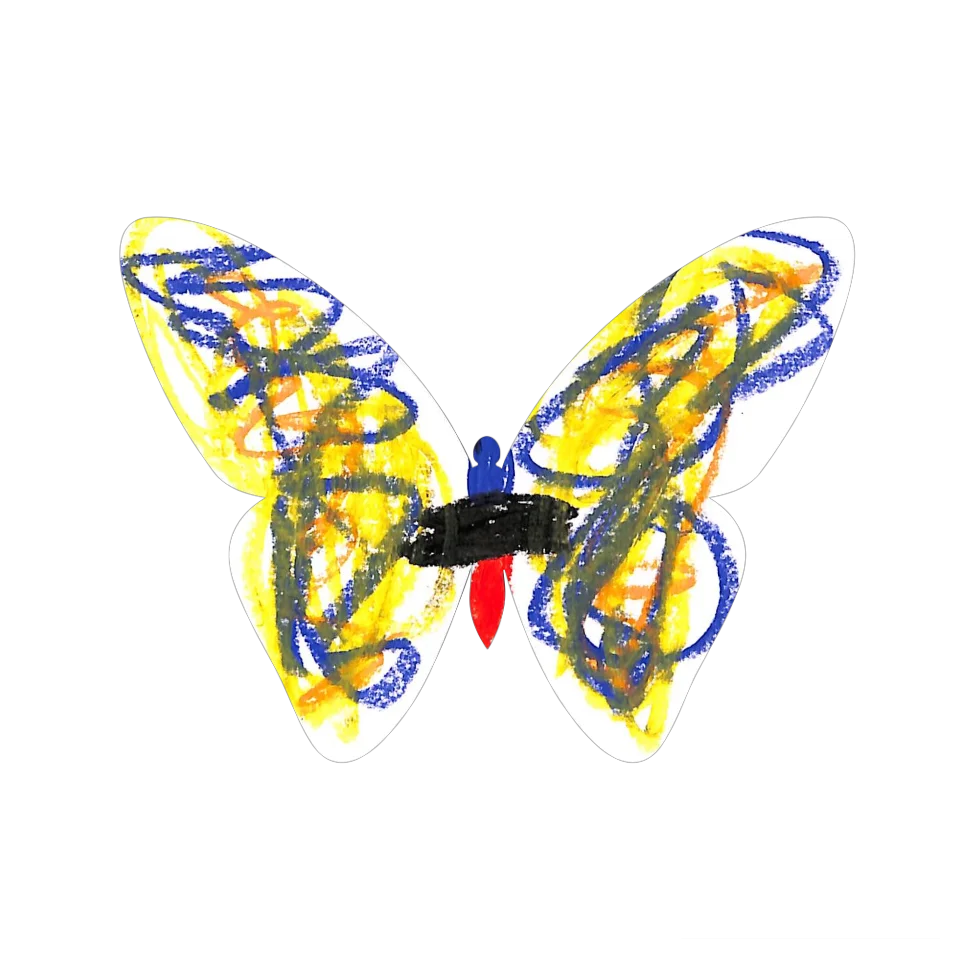 Original Butterfly Image