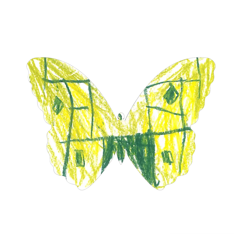 Original Butterfly Image