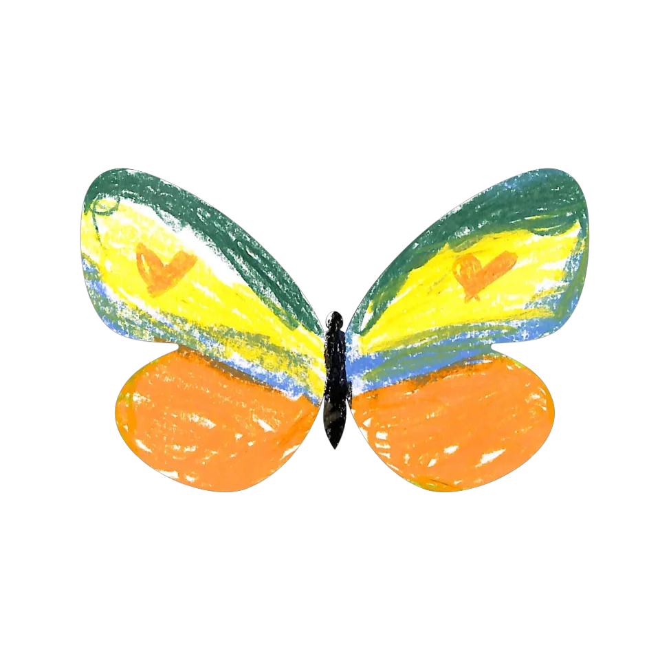 Original Butterfly Image