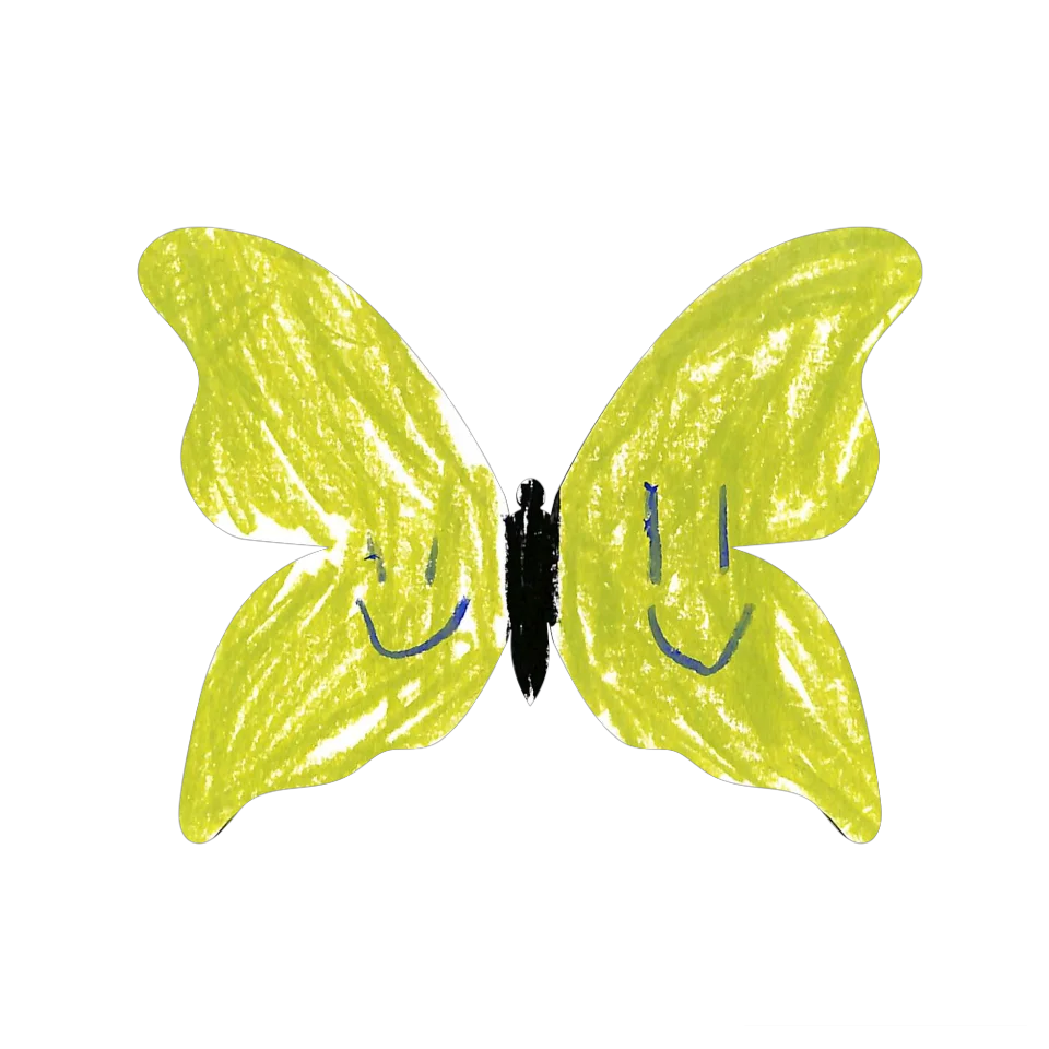 Original Butterfly Image