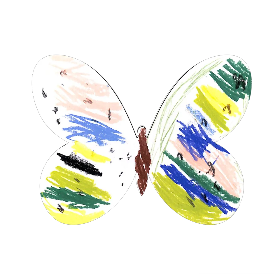 Original Butterfly Image