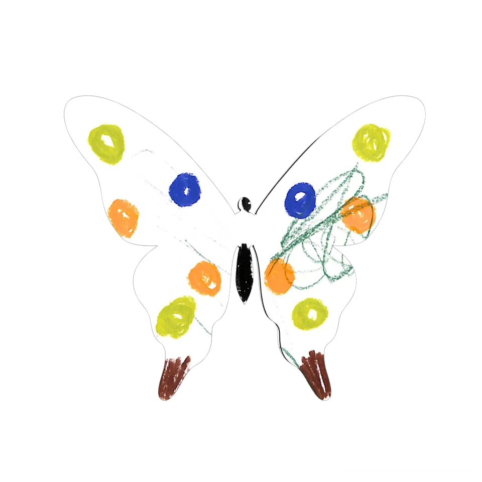 Original Butterfly Image