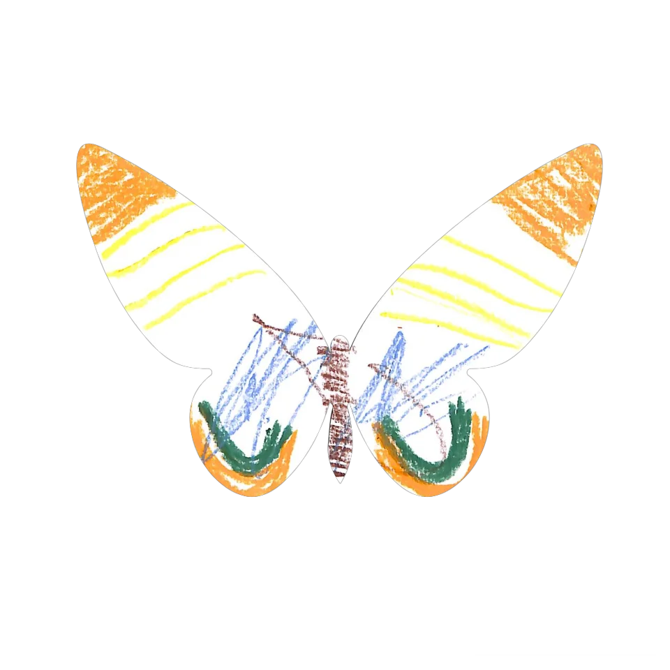 Original Butterfly Image