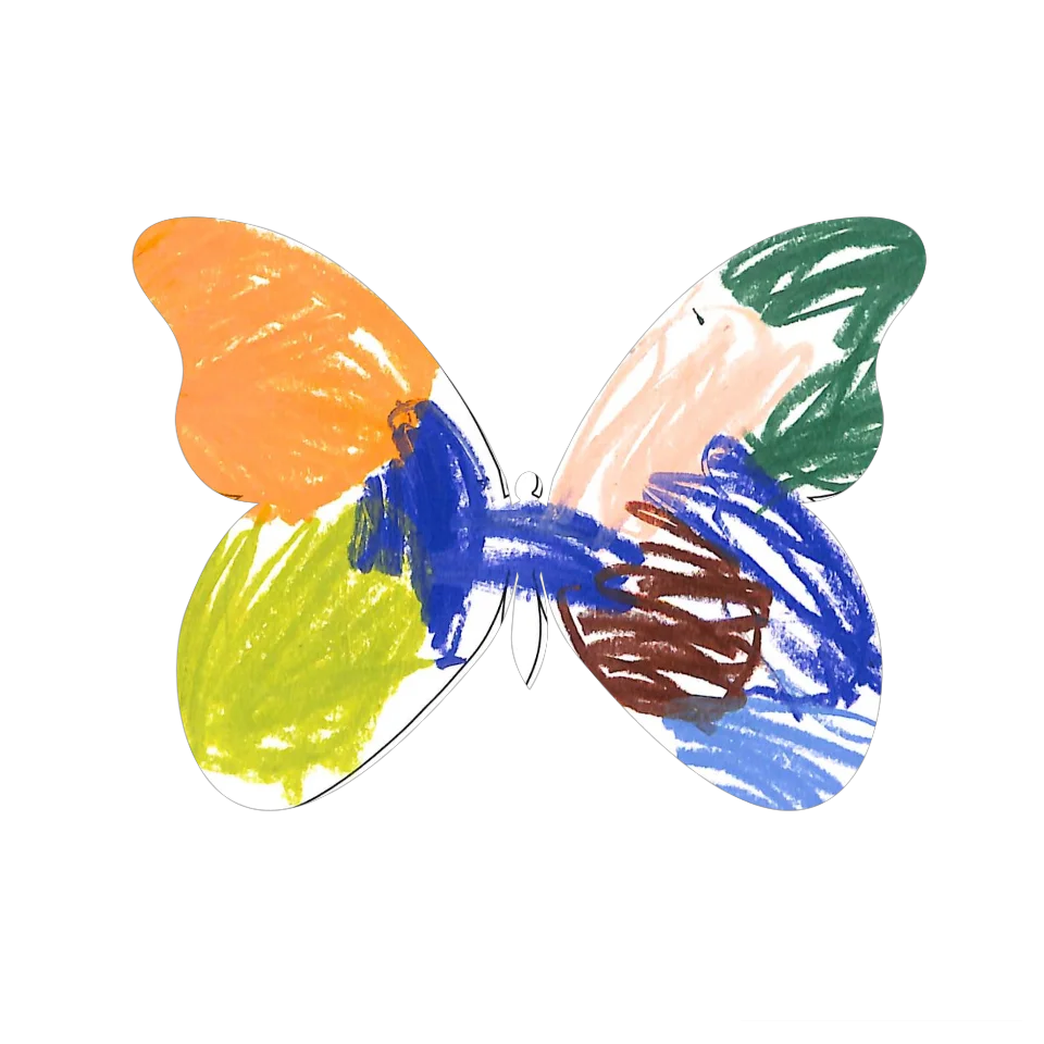 Original Butterfly Image